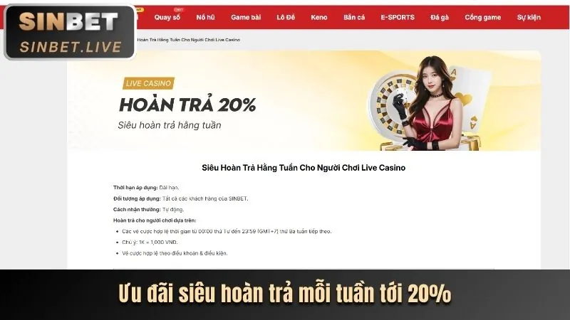 Banner khuyến mãi suncity code casino